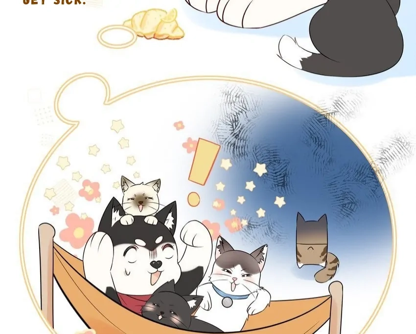 Read Overnourished chapter 53 image 72 on Lezhin