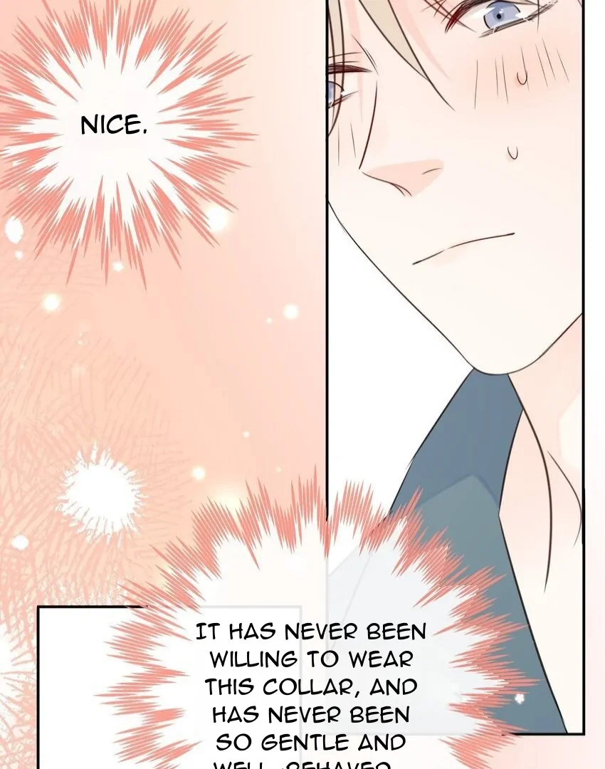 Read Overnourished chapter 55 image 7 on Lezhin