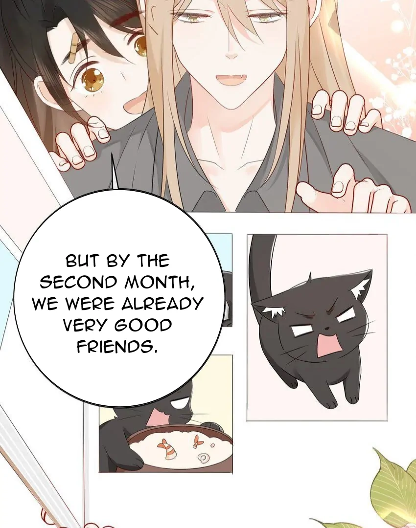 Read Overnourished chapter 56 image 36 on Lezhin