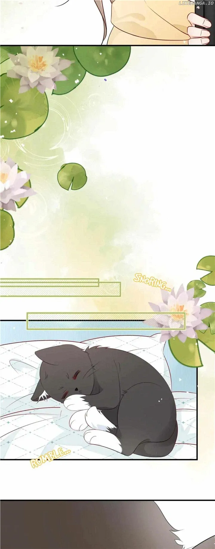 Read Overnourished chapter 8 image 13 on Lezhin