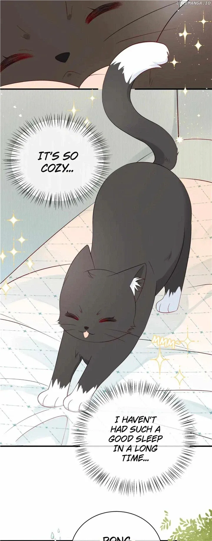 Read Overnourished chapter 8 image 14 on Lezhin