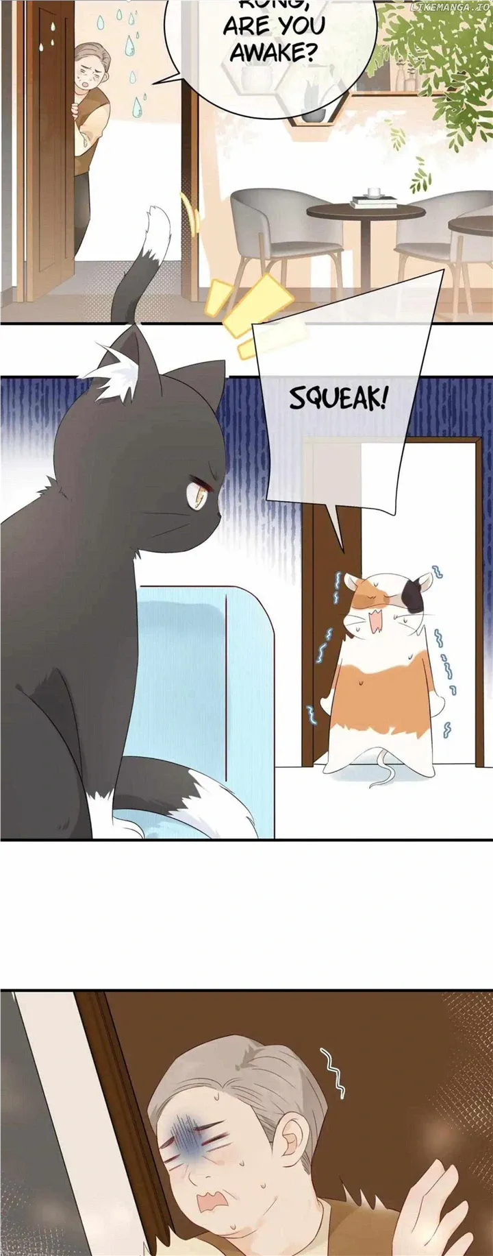 Read Overnourished chapter 8 image 15 on Lezhin