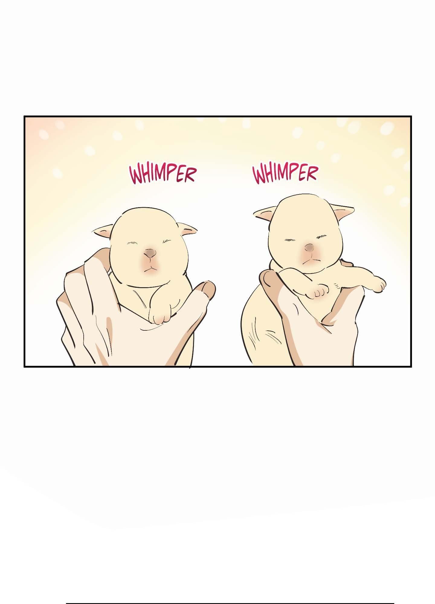 Read OXO chapter 3 image 119 on Lezhin