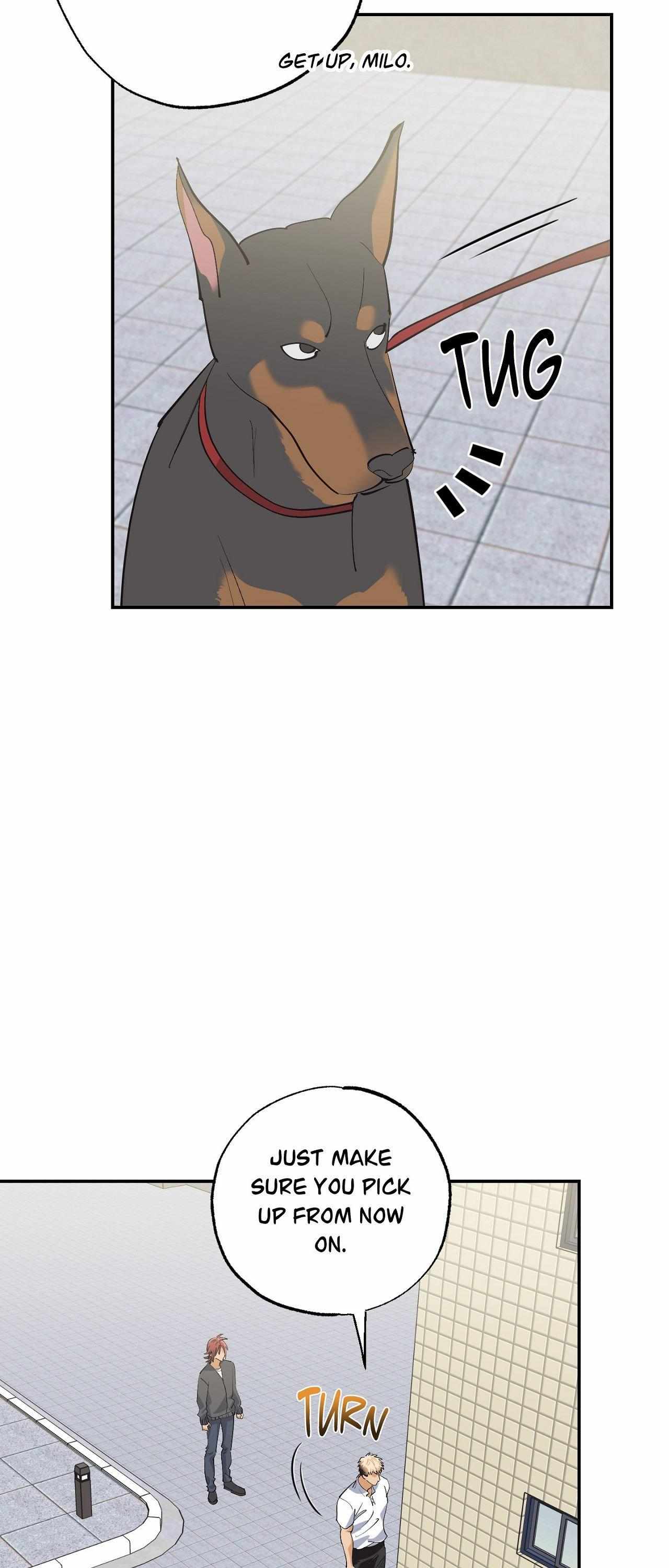 Read OXO chapter 9 image 13 on Lezhin