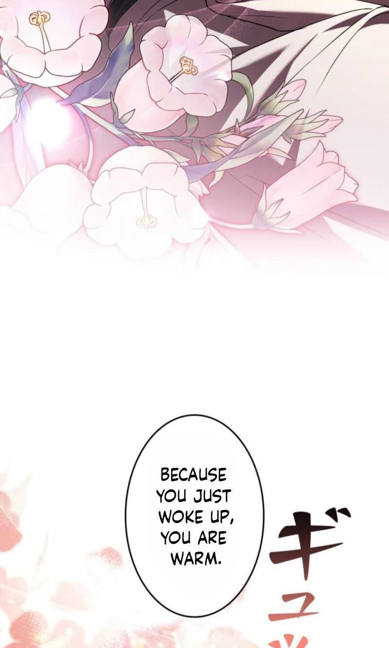 Palace Servant Chapter 27 page 66 - 