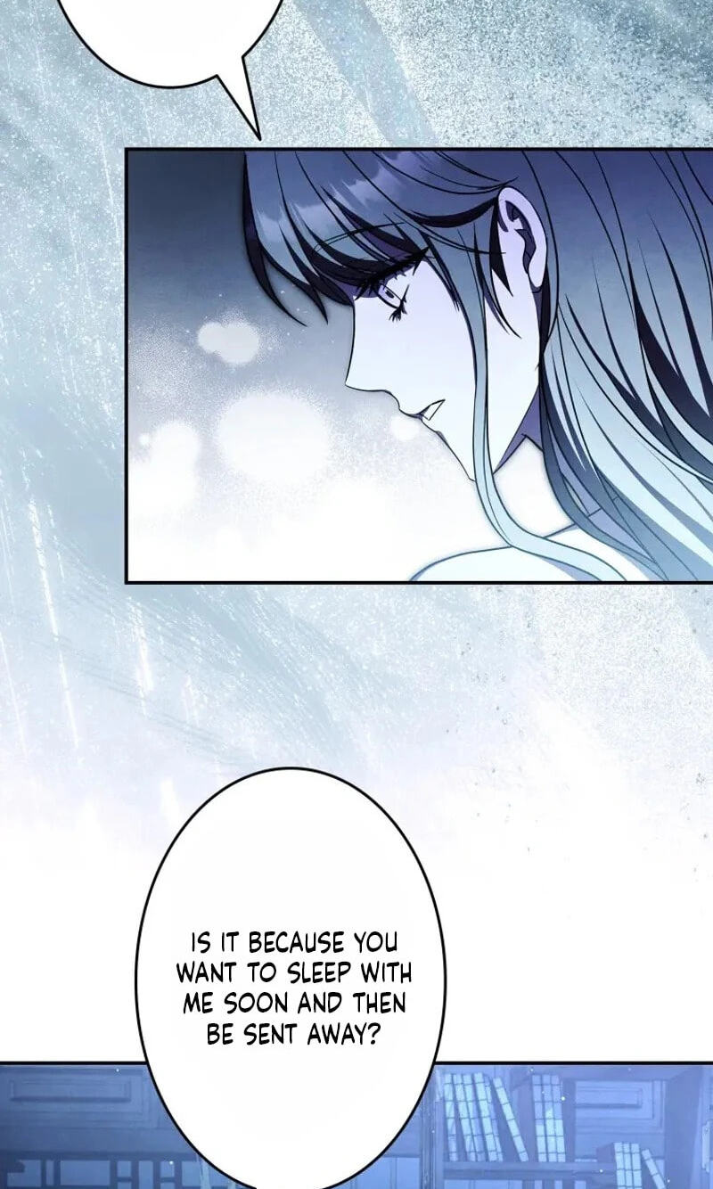 Palace Servant Chapter 29 page 17 - 