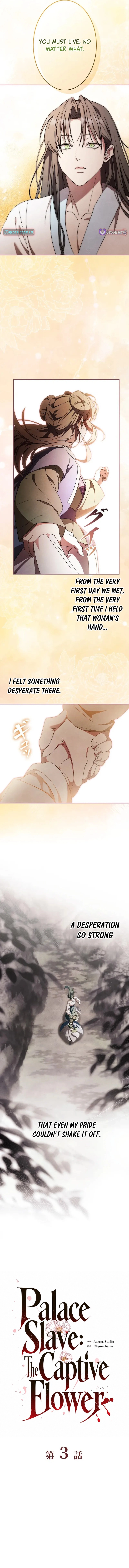 Read Palace Servant chapter 3 image 9 on Lezhin