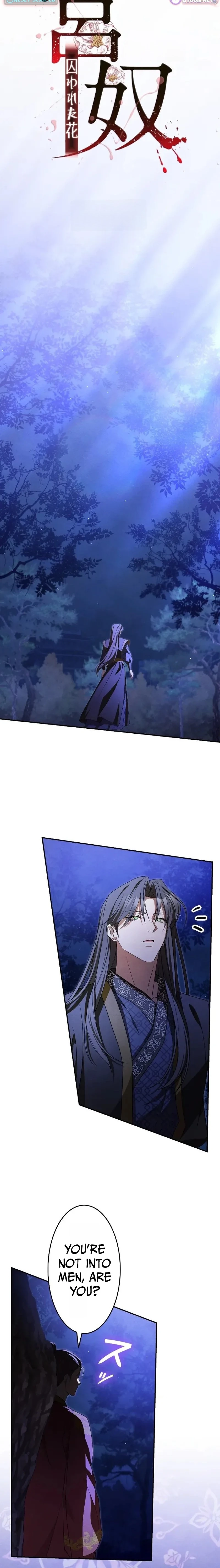Read Palace Servant chapter 6 image 6 on Lezhin