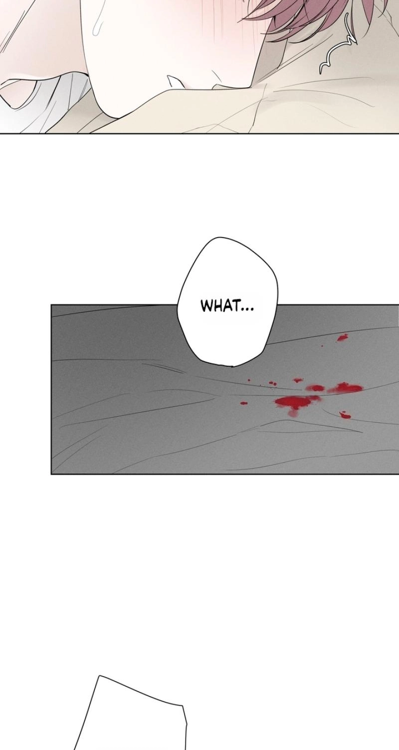 Read Pale Knot chapter 11 image 53 on Lezhin