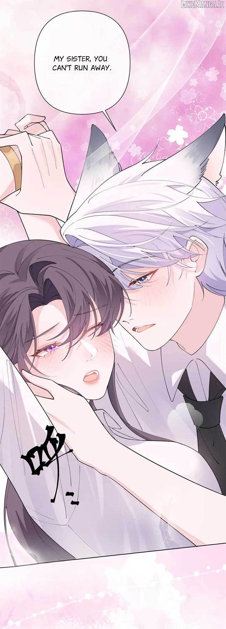 Read Pampering My Beast Commander chapter 114 image 11 on Lezhin