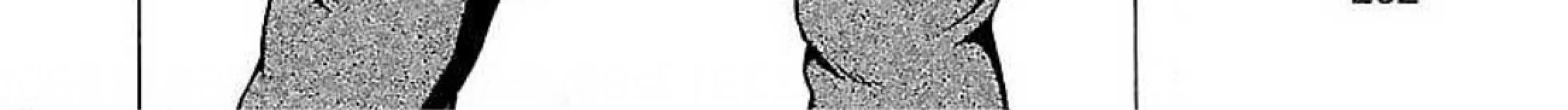 Read Pansuto chapter 78 image 54 on Lezhin
