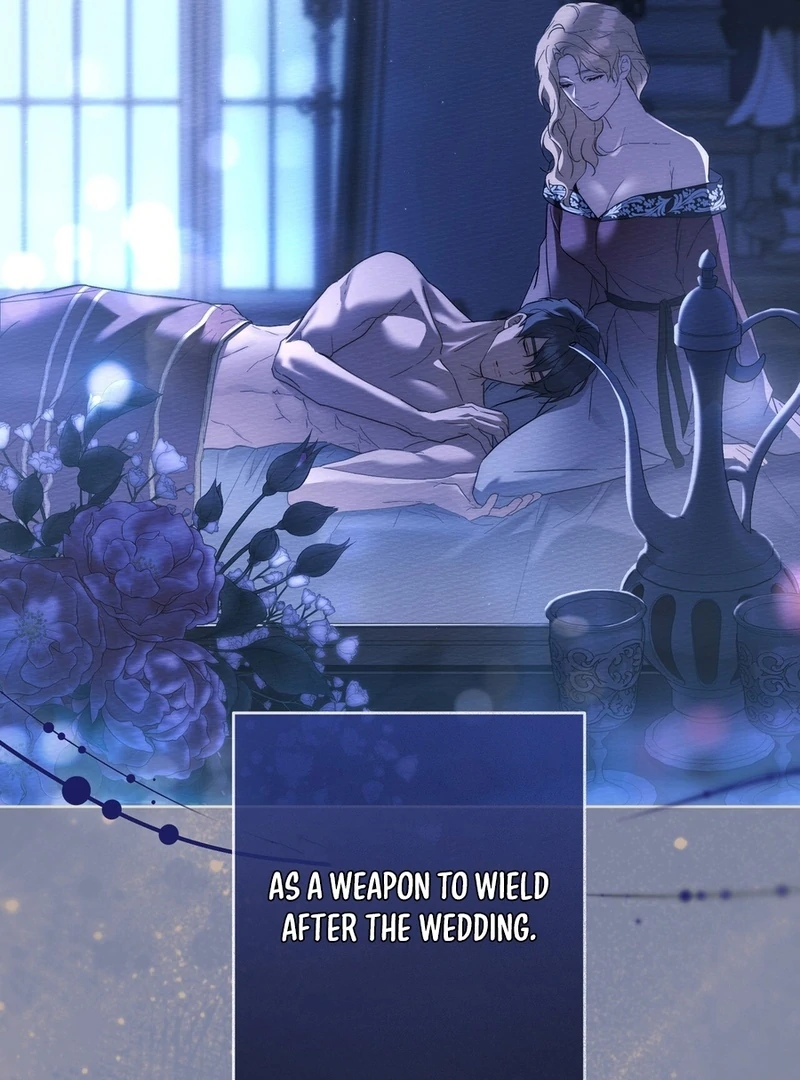 Read Paradisus Valentinae chapter 15 image 47 on Lezhin
