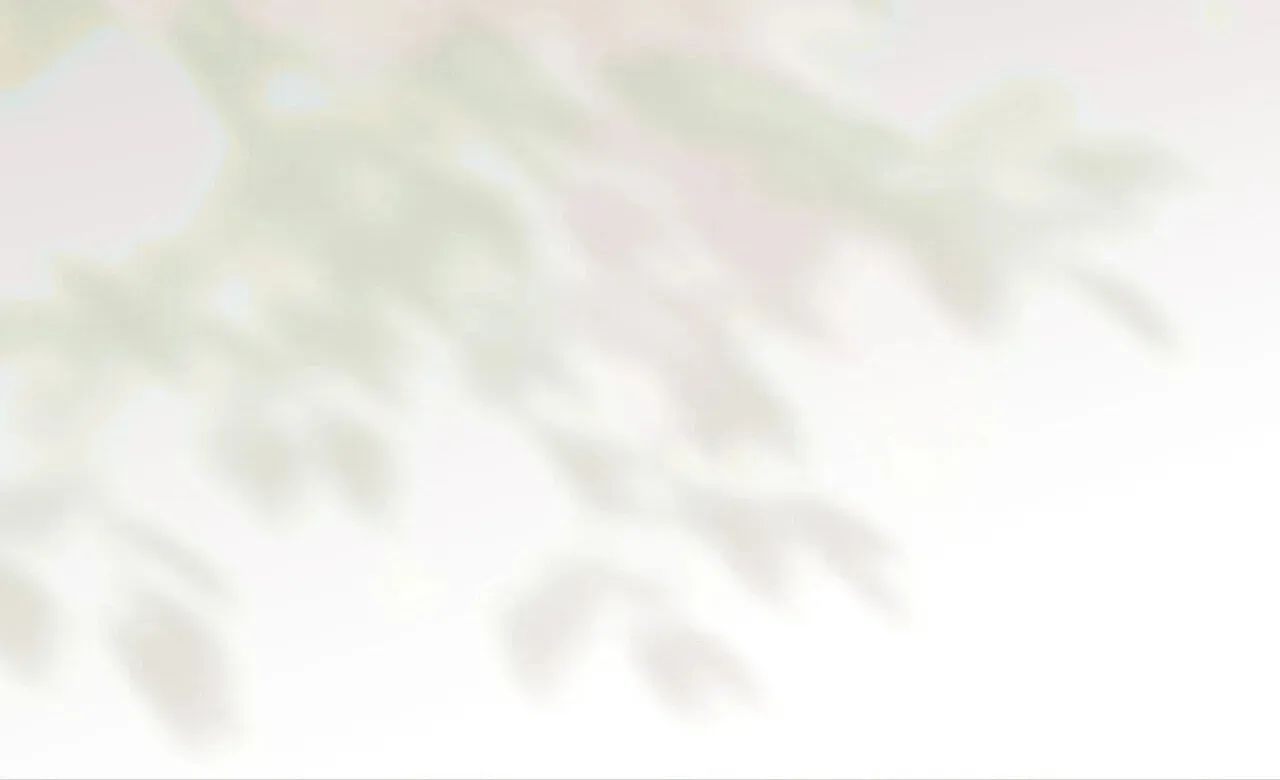 Read Paradisus Valentinae chapter 44 image 215 on Lezhin