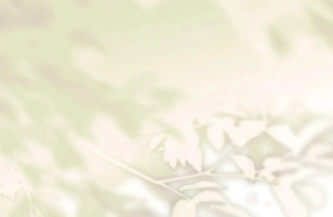 Read Paradisus Valentinae chapter 44 image 217 on Lezhin