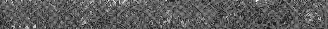 Read Parallel Paradise chapter 118 image 1 on Lezhin