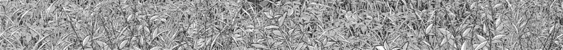 Read Parallel Paradise chapter 120 image 1 on Lezhin