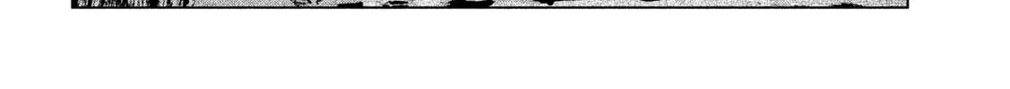 Read Parallel Paradise chapter 251 image 15 on Lezhin