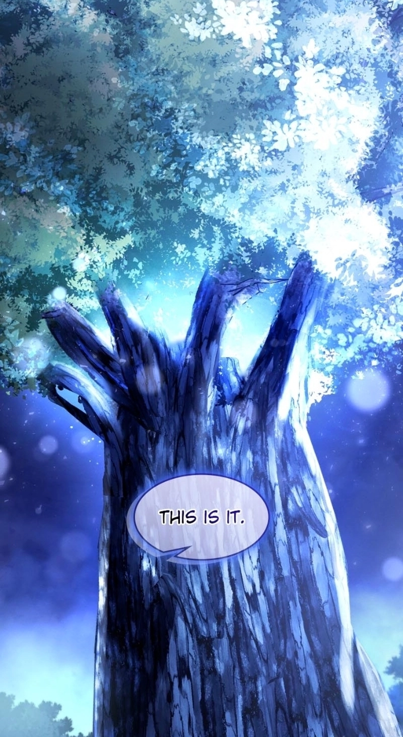 Read Paranoid Mage chapter 125 image 44 on Lezhin