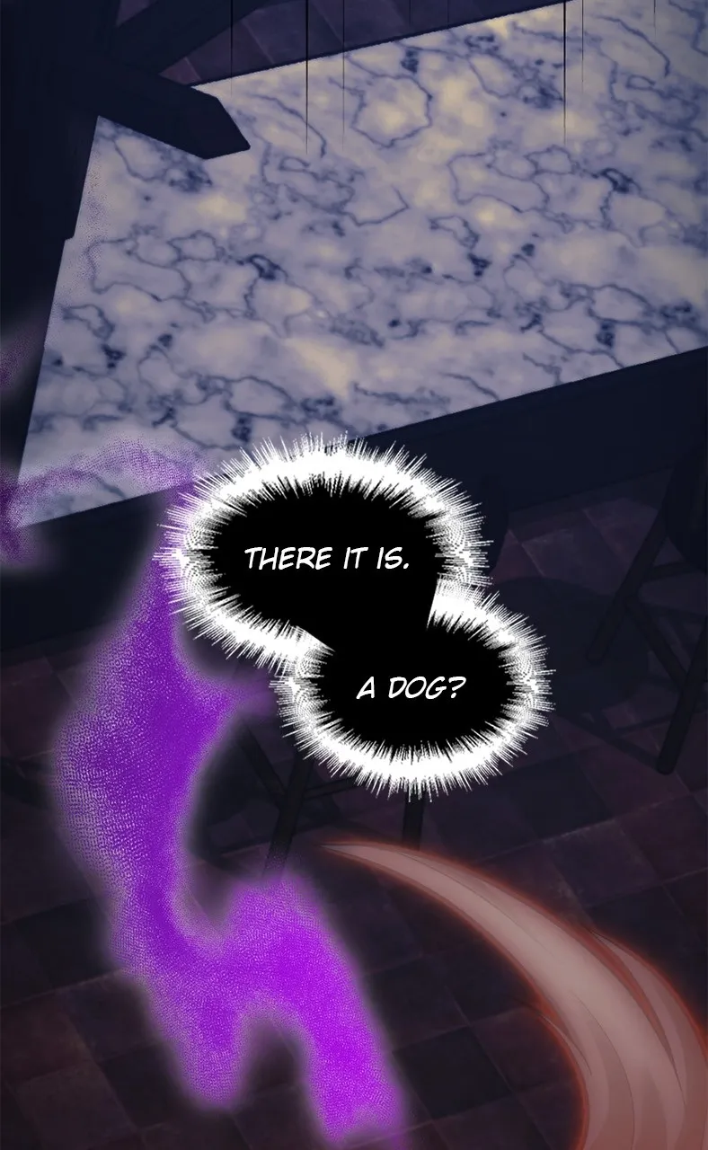 Read Paranoid Mage chapter 5 image 35 on Lezhin