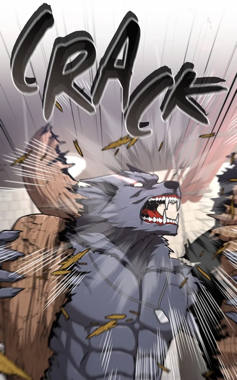 Read Paranoid Mage chapter 64 image 83 on Lezhin