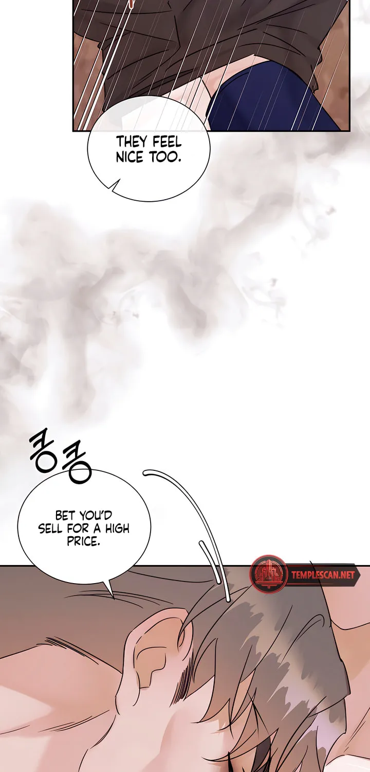 Park Ha Mansion Chapter 16 page 45 - 