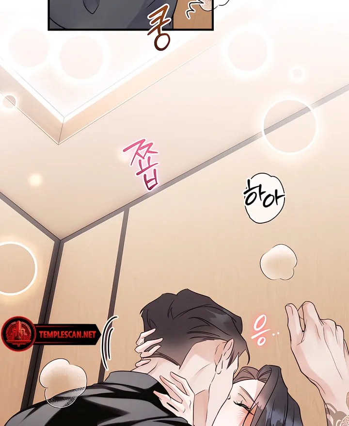 Park Ha Mansion Chapter 17 page 46 - 
