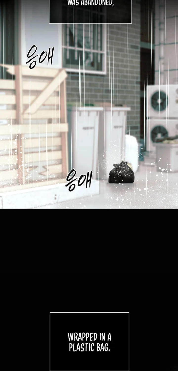 Park Ha Mansion Chapter 22 page 44 - 