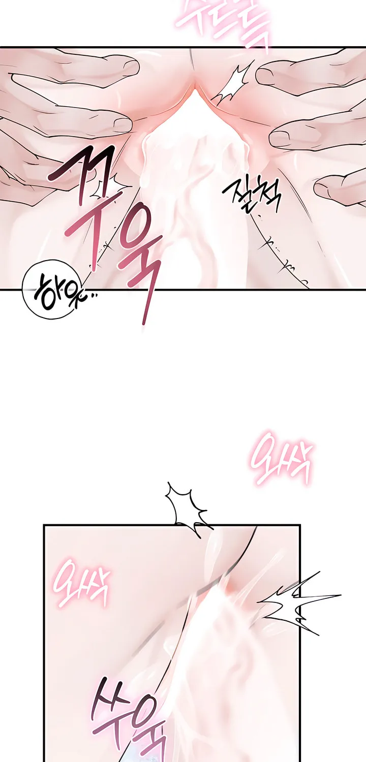 Park Ha Mansion Chapter 26 page 45 - 