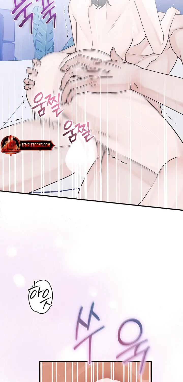 Park Ha Mansion Chapter 26 page 47 - 