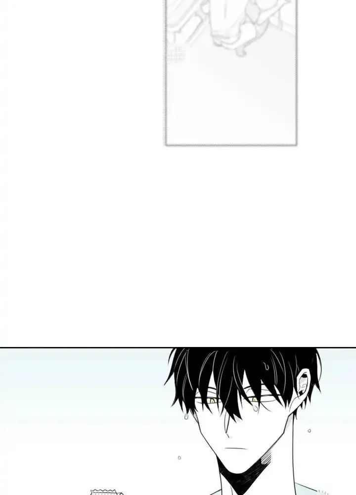 Read Park Hanhoo