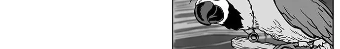 Read Parrot Blade chapter 2 image 23 on Lezhin