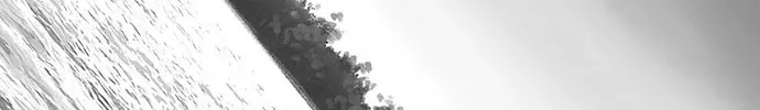 Read Parrot Blade chapter 5 image 47 on Lezhin