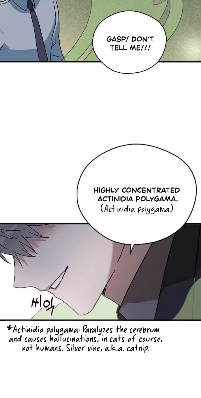 Read Past Life Destiny chapter 19 image 26 on Lezhin