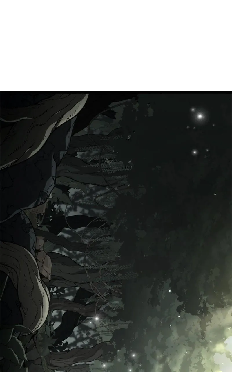 Past Life Regressor Chapter 44 page 155 - 