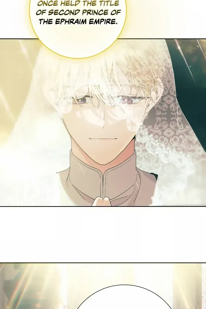 Read Patera chapter 1.2 image 40 on Lezhin