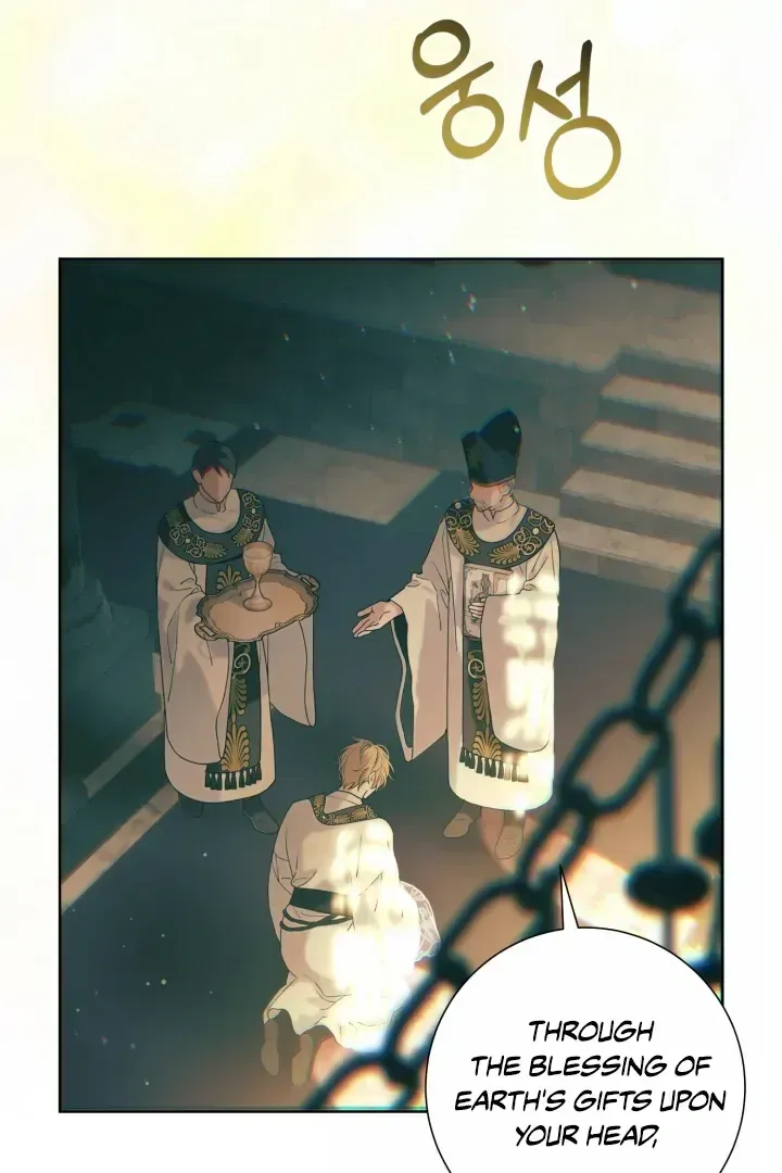 Read Patera chapter 1.2 image 45 on Lezhin