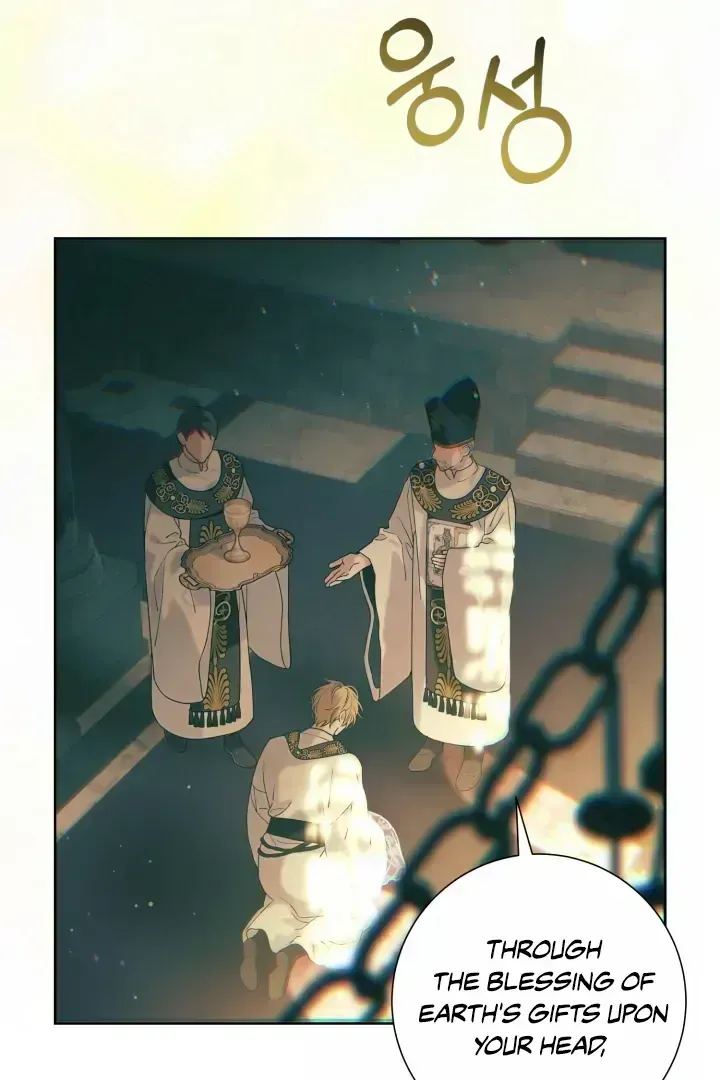 Read Patera chapter 1.4 image 45 on Lezhin