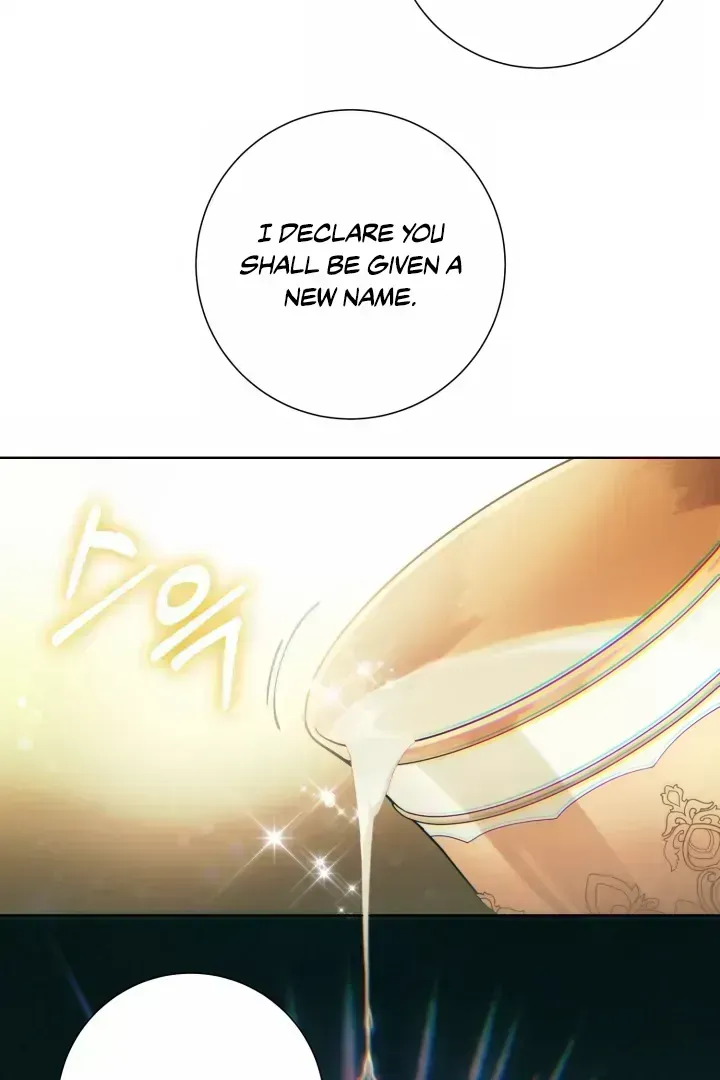 Read Patera chapter 1.4 image 46 on Lezhin