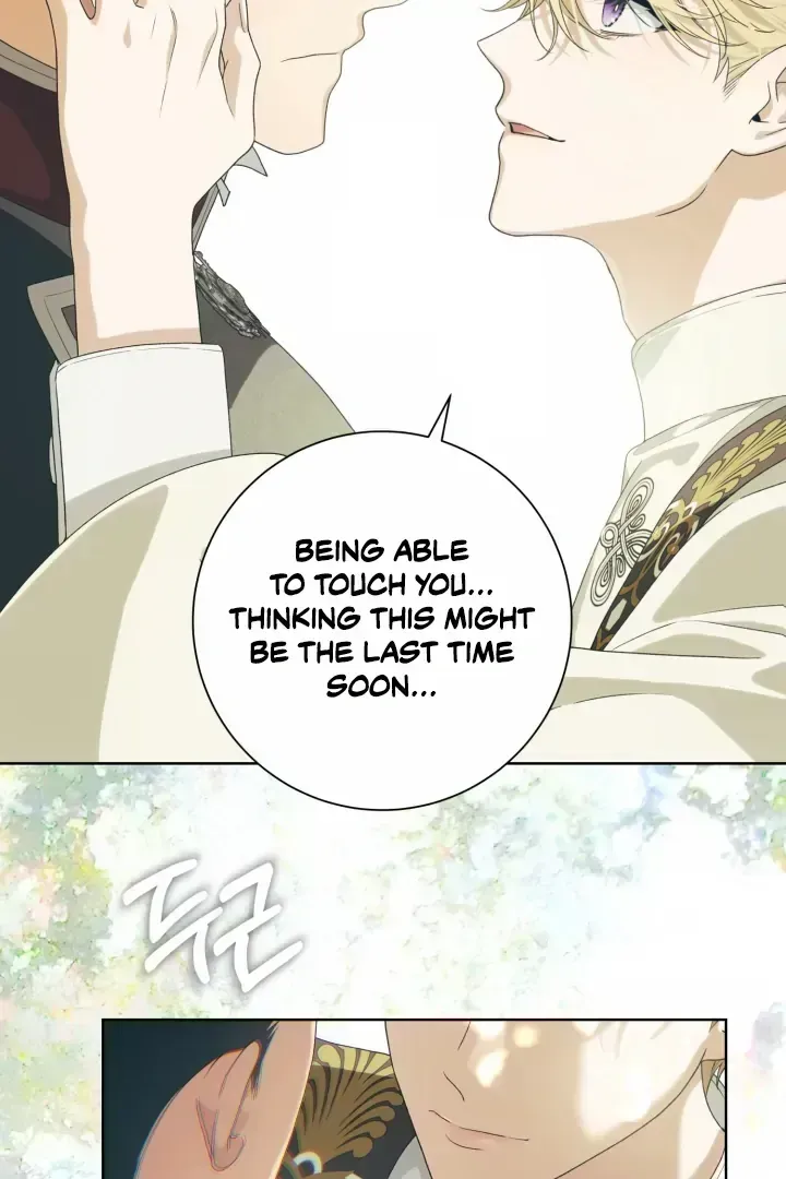 Read Patera chapter 1.7 image 77 on Lezhin