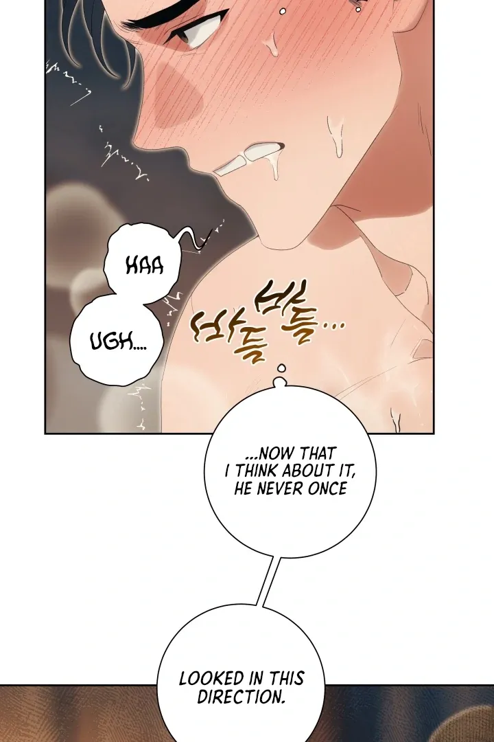 Read Patera chapter 11 image 37 on Lezhin