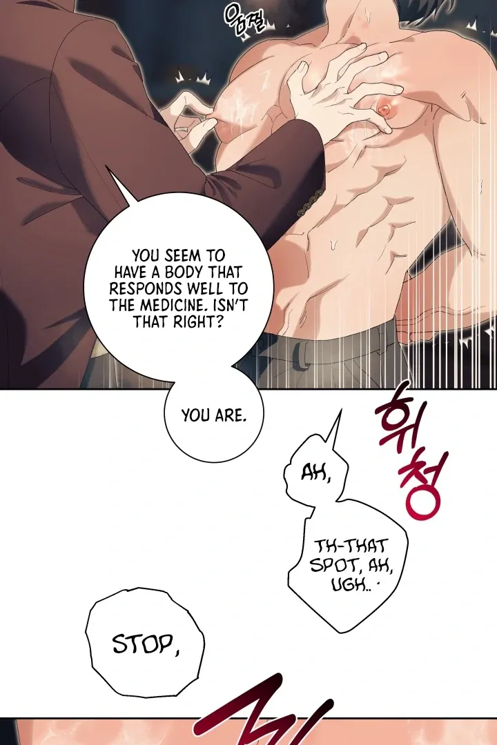 Read Patera chapter 11 image 58 on Lezhin