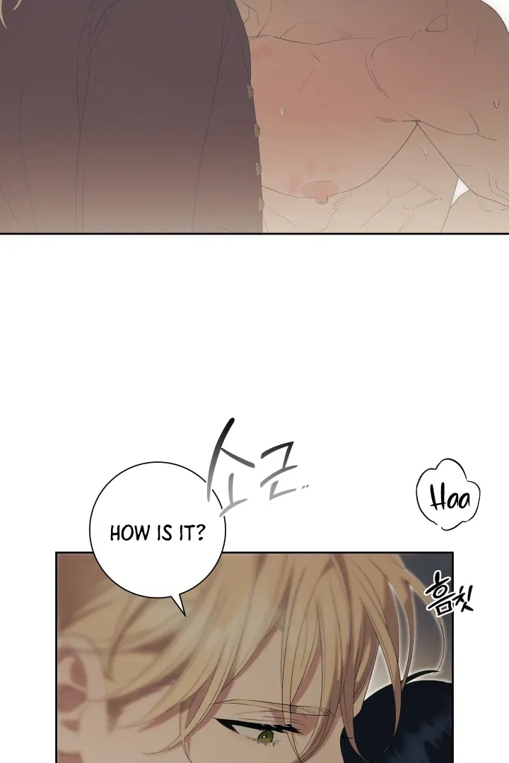 Read Patera chapter 11 image 65 on Lezhin