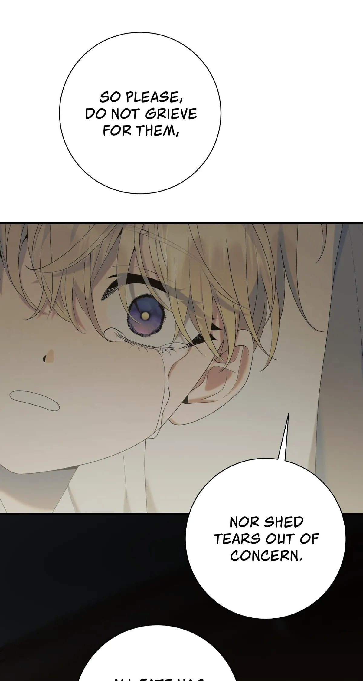 Read Patera chapter 15 image 43 on Lezhin