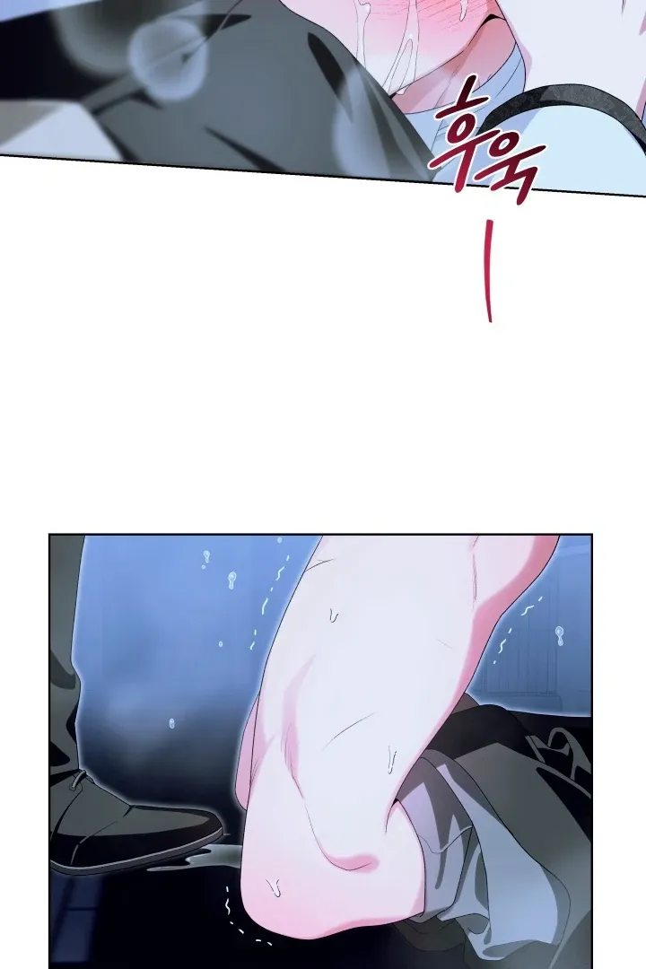 Read Patera chapter 3 image 66 on Lezhin