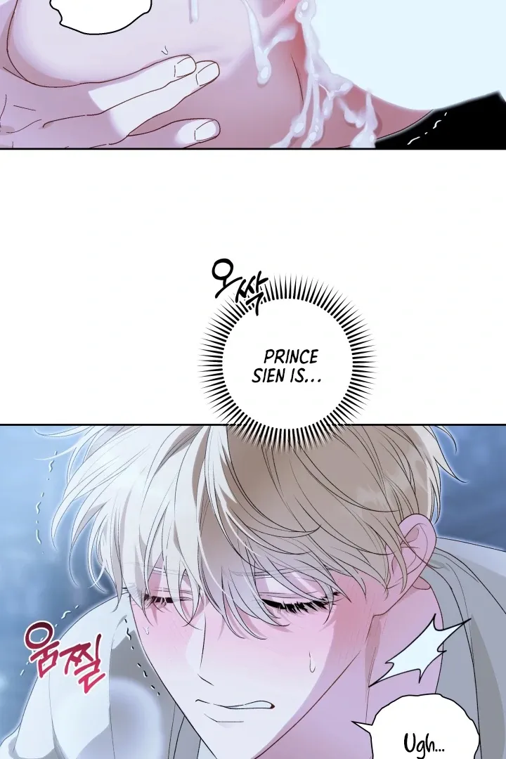 Read Patera chapter 6 image 10 on Lezhin