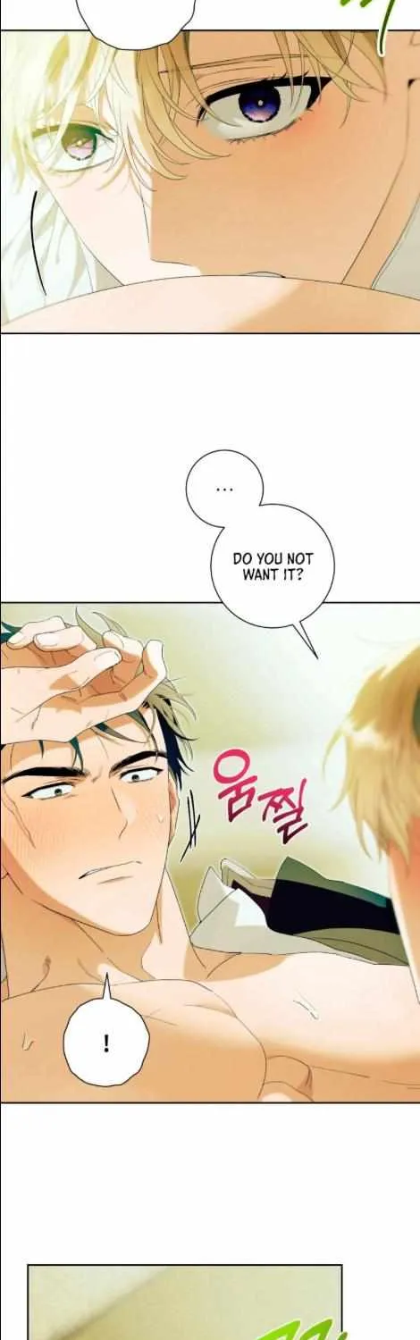 Read Patera chapter 8 image 11 on Lezhin