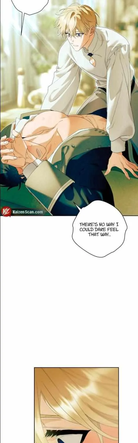 Read Patera chapter 8 image 13 on Lezhin