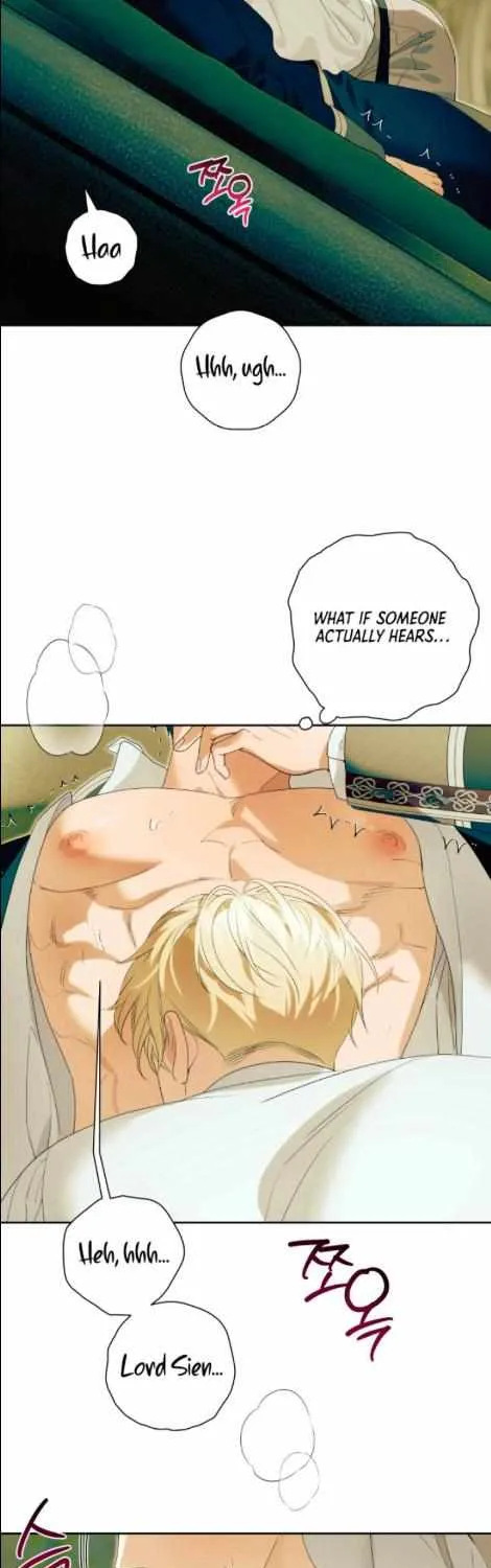 Read Patera chapter 8 image 17 on Lezhin