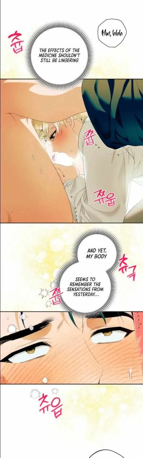 Read Patera chapter 8 image 21 on Lezhin