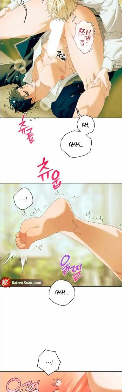 Read Patera chapter 8 image 29 on Lezhin